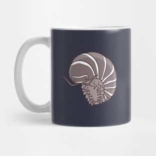 Zebra Isopod Or Zebra Pillbug - Armadillidium Maculatum Mug